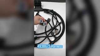 สายรัด 4938672